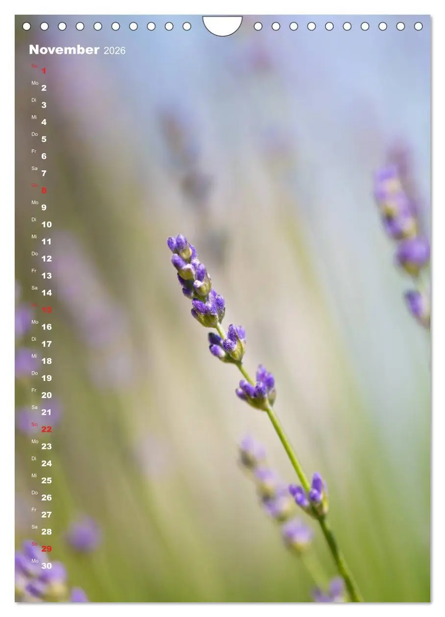 Bild: 9783516404449 | Colors of Nature (Wandkalender 2026 DIN A4 hoch), CALVENDO...