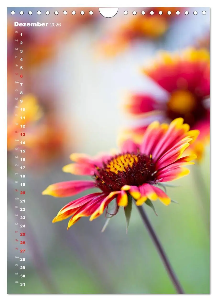 Bild: 9783516404449 | Colors of Nature (Wandkalender 2026 DIN A4 hoch), CALVENDO...