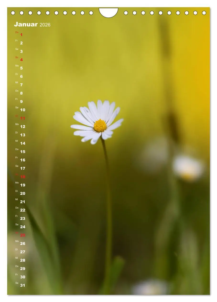 Bild: 9783516404449 | Colors of Nature (Wandkalender 2026 DIN A4 hoch), CALVENDO...