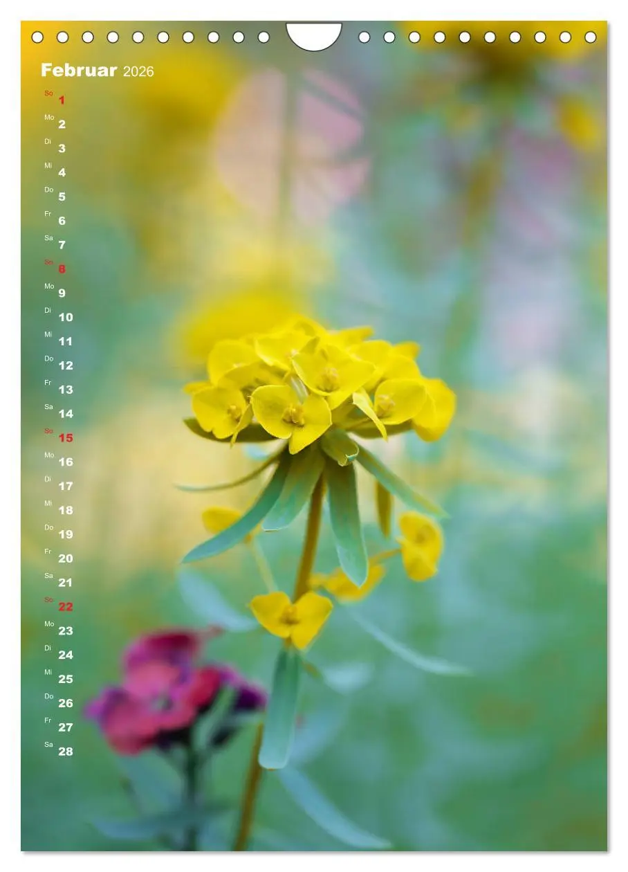 Bild: 9783516404449 | Colors of Nature (Wandkalender 2026 DIN A4 hoch), CALVENDO...