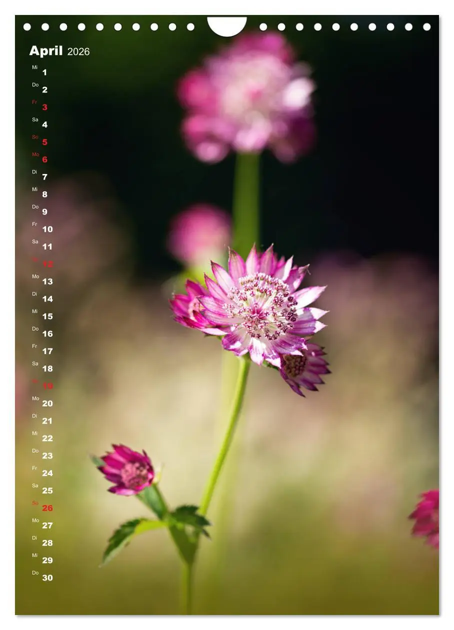 Bild: 9783516404449 | Colors of Nature (Wandkalender 2026 DIN A4 hoch), CALVENDO...