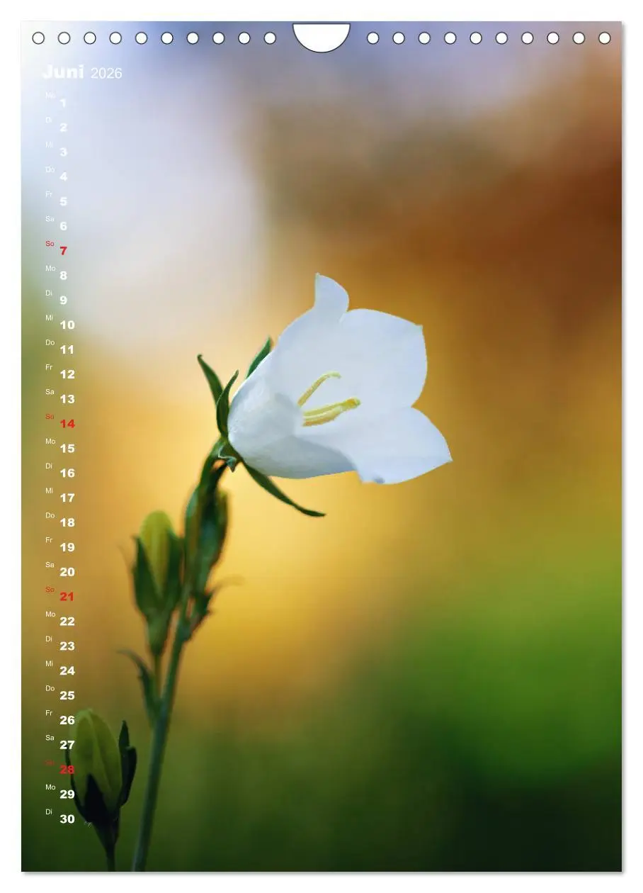 Bild: 9783516404449 | Colors of Nature (Wandkalender 2026 DIN A4 hoch), CALVENDO...