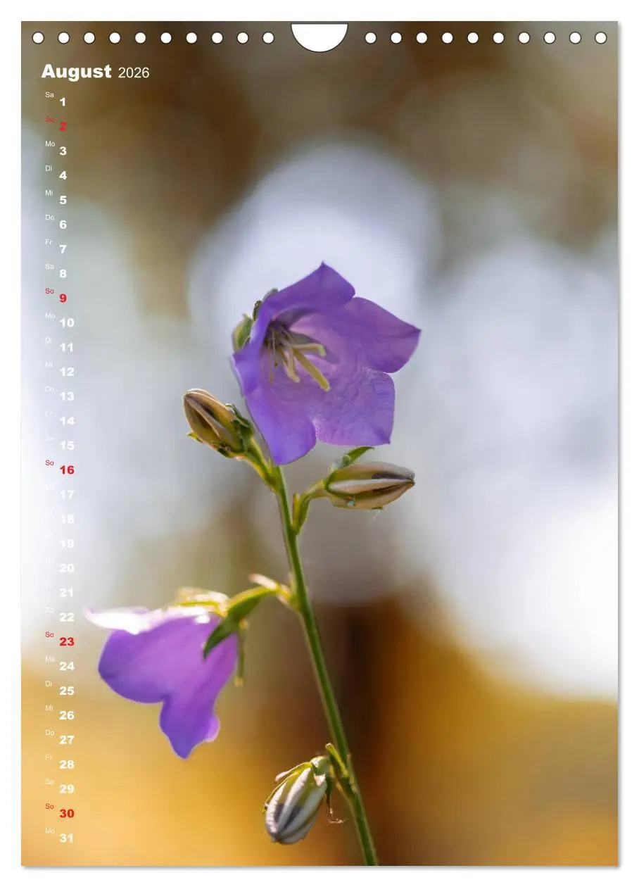 Bild: 9783516404449 | Colors of Nature (Wandkalender 2026 DIN A4 hoch), CALVENDO...