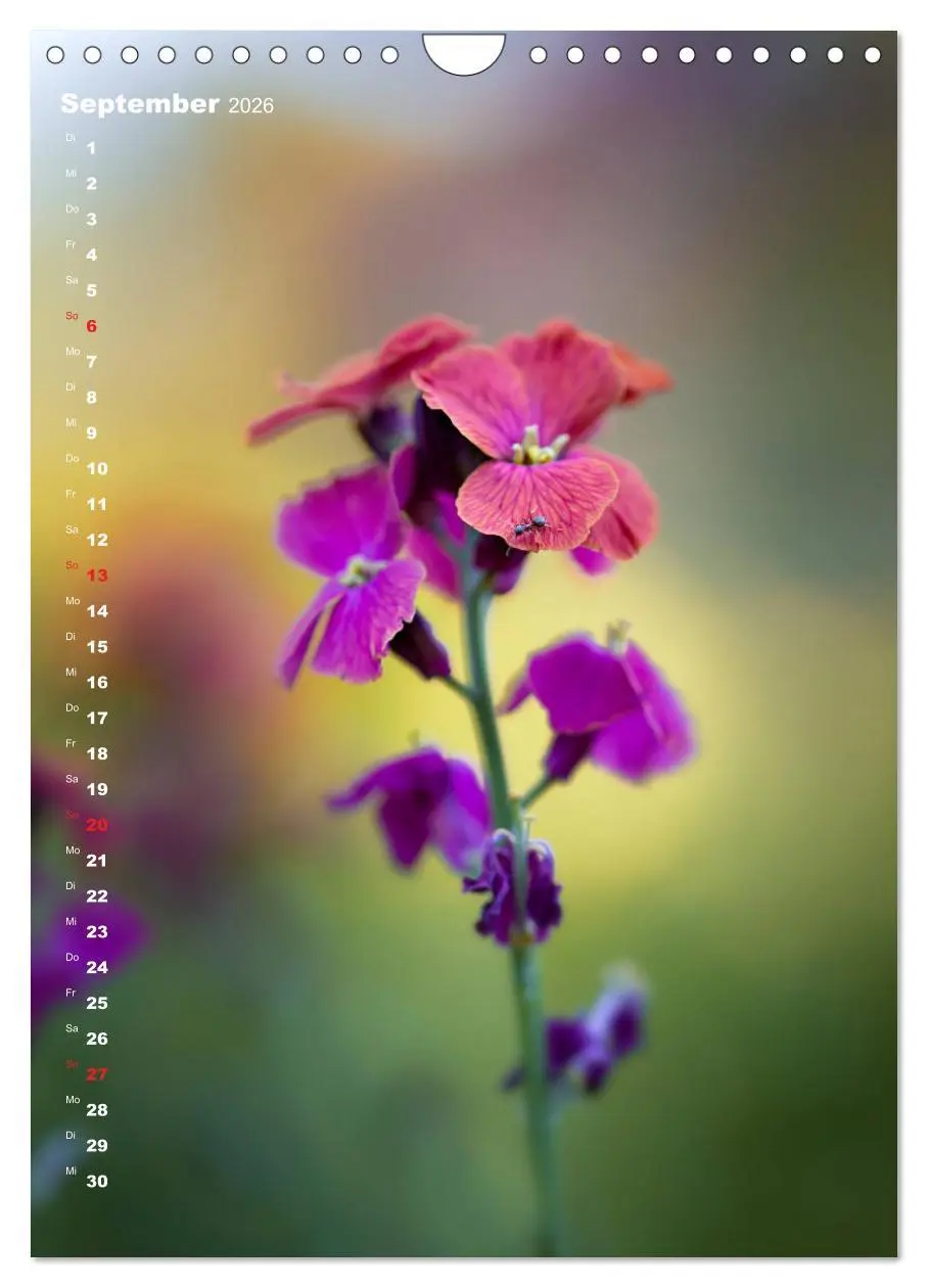 Bild: 9783516404449 | Colors of Nature (Wandkalender 2026 DIN A4 hoch), CALVENDO...