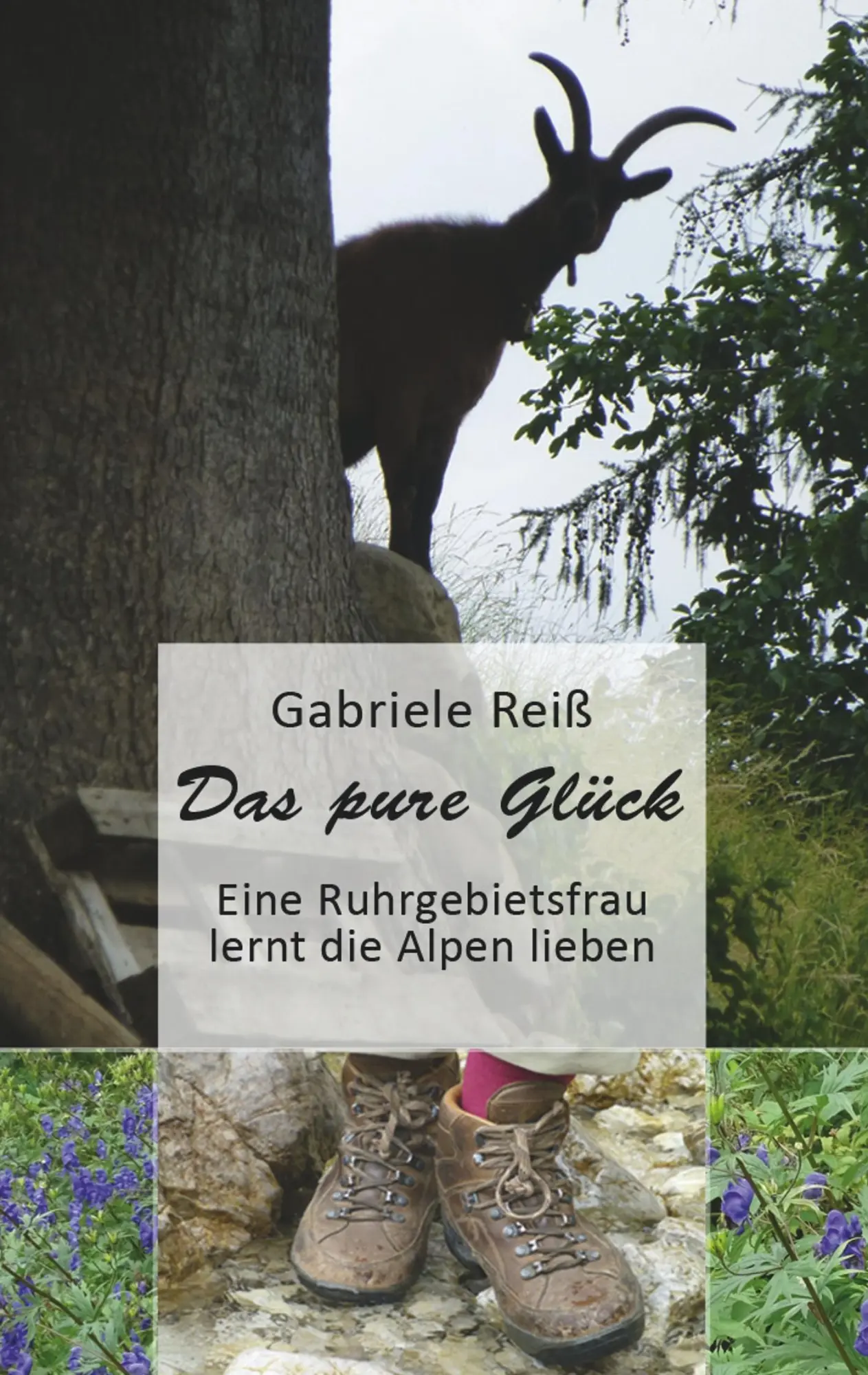 Cover: 9783748164449 | Das pure Glück | Gabriele Reiß | Taschenbuch | 184 S. | Deutsch | 2019