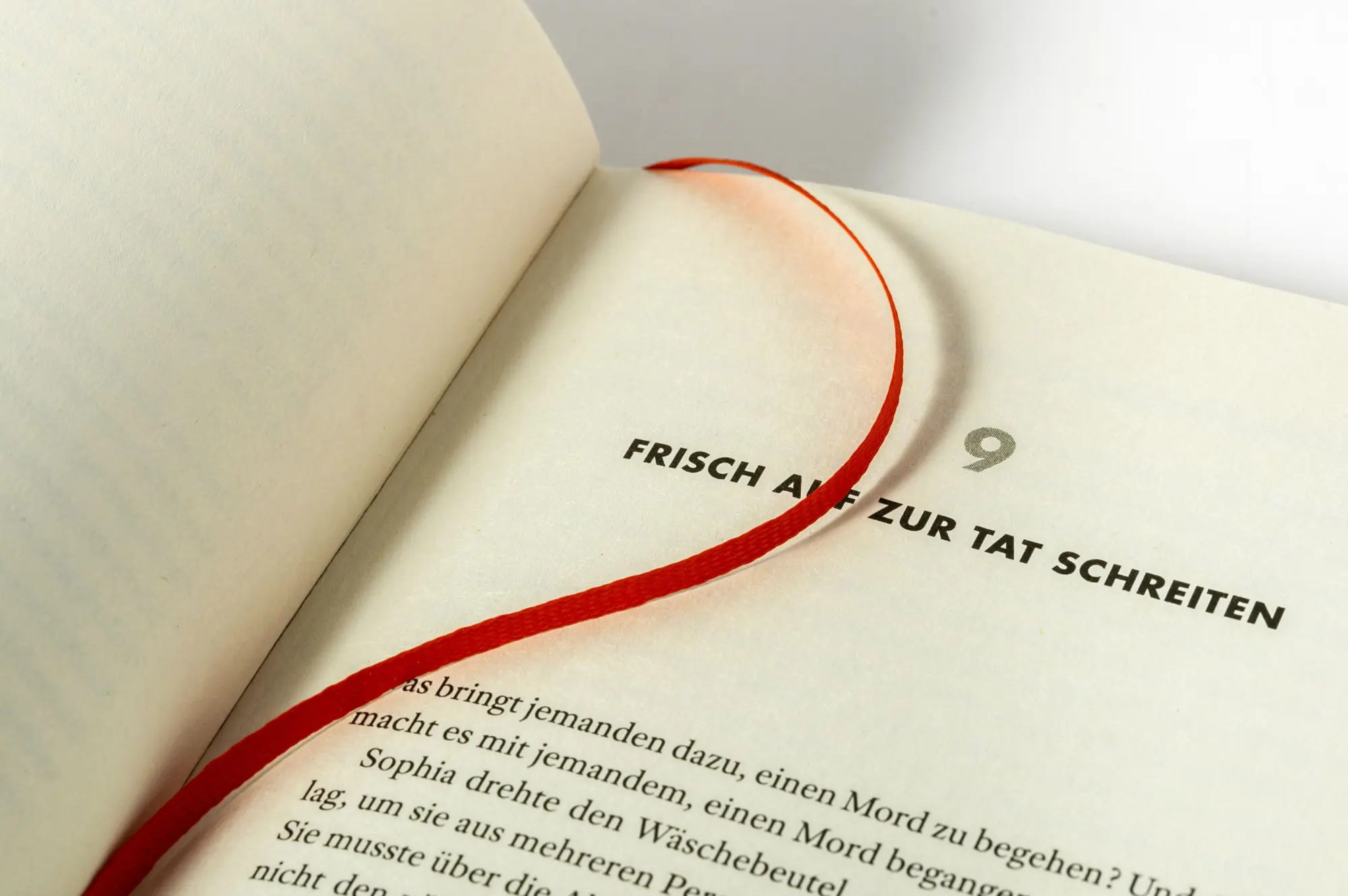 Bild: 9783453274549 | Filmriss auf Immenhof | Karsten Dusse | Buch | 320 S. | Deutsch | 2026