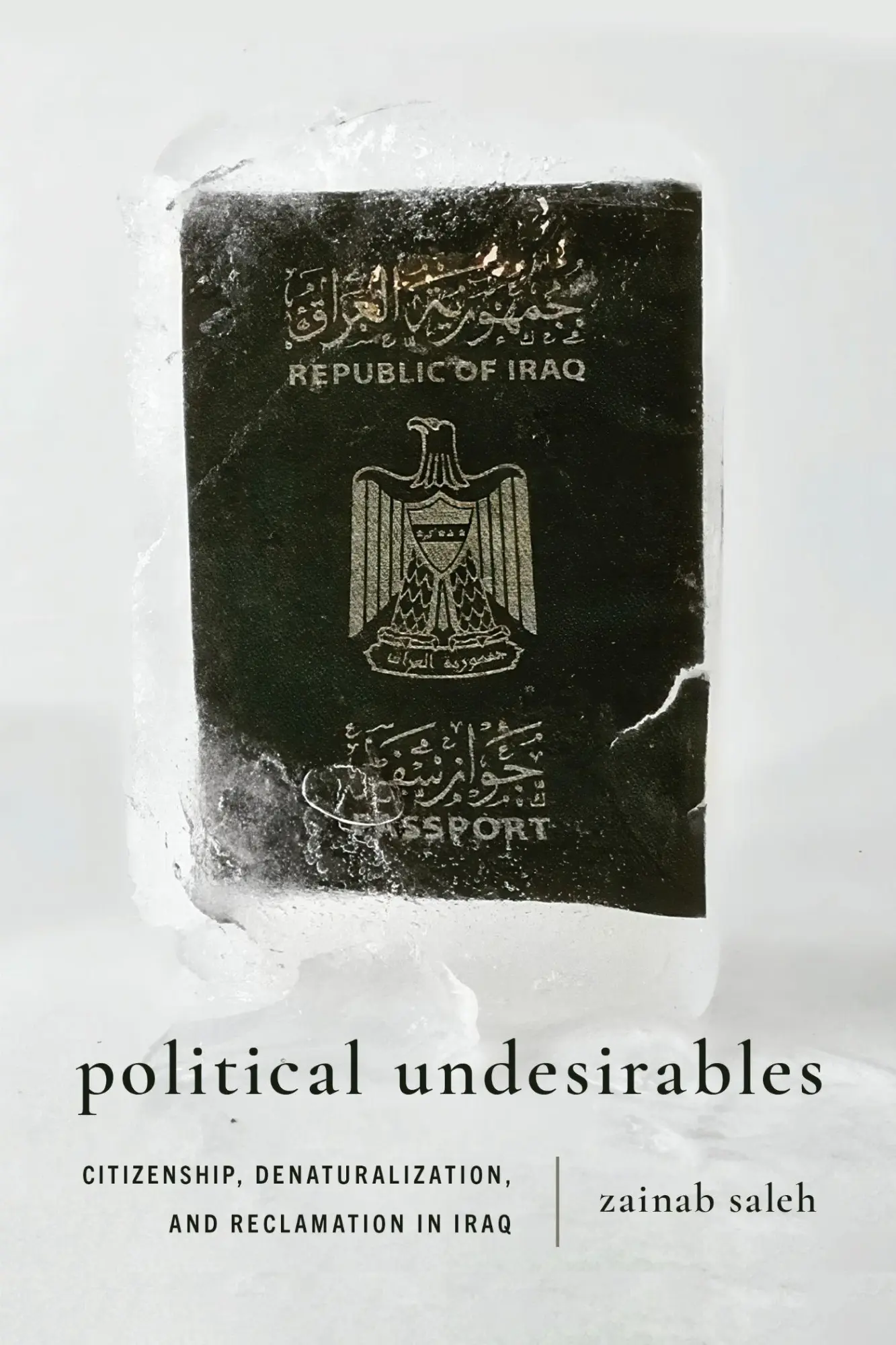 Cover: 9781503644649 | Political Undesirables | Zainab Saleh | Taschenbuch | Englisch | 2025