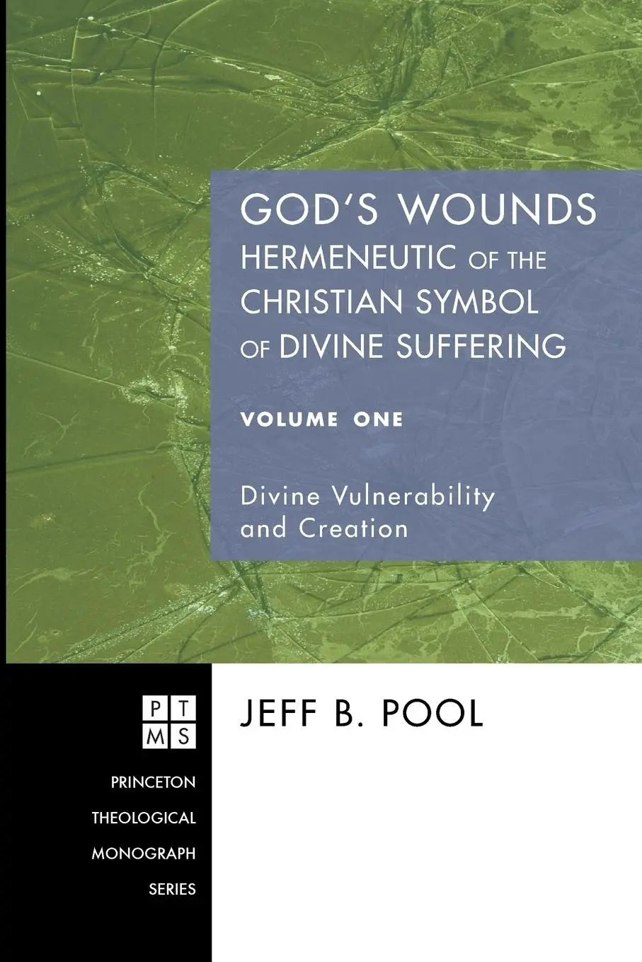 Cover: 9781556354649 | God's Wounds | Jeff B. Pool | Taschenbuch | Kartoniert / Broschiert