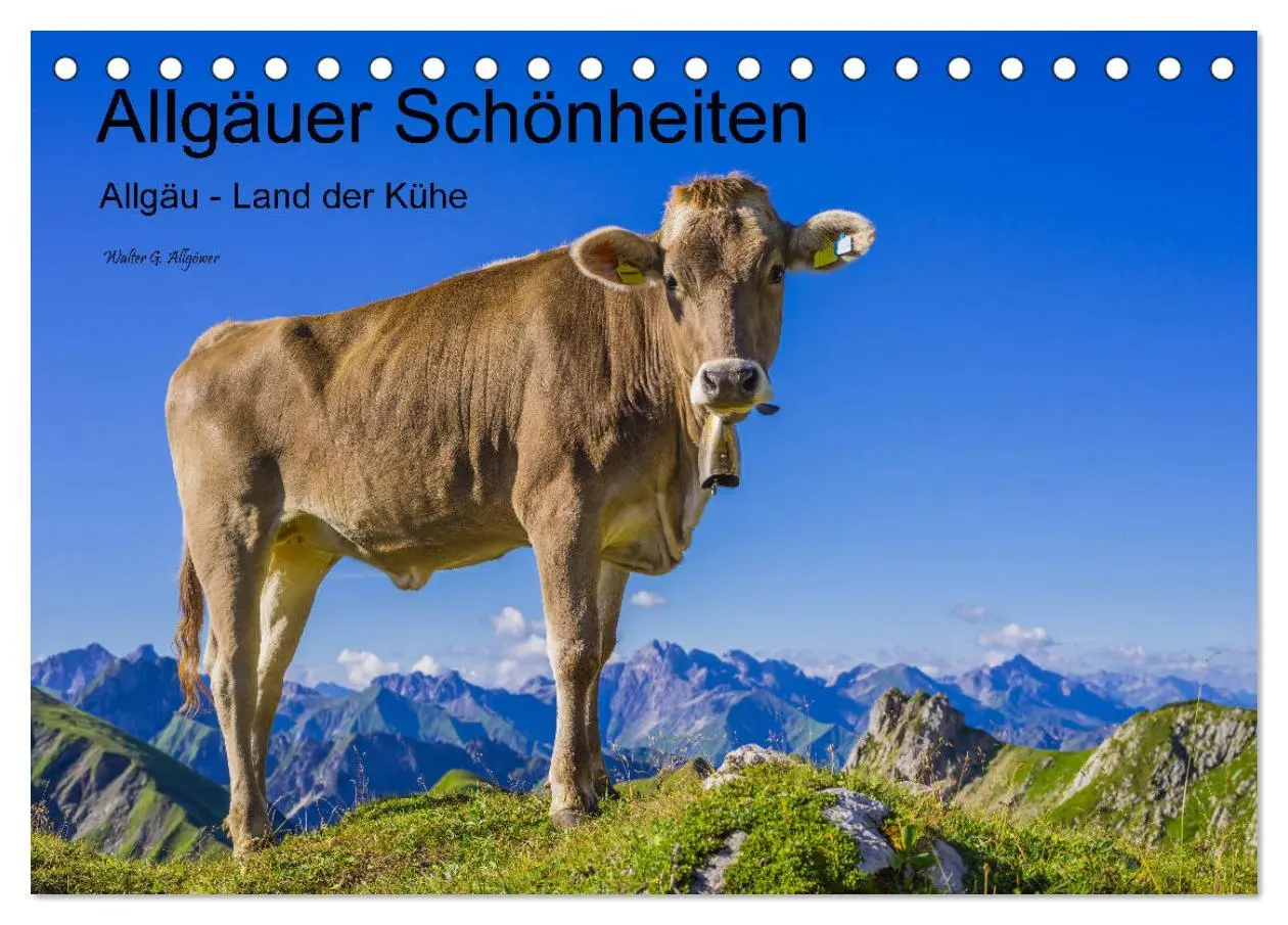 Cover: 9783457844649 | Allgäuer Schönheiten Allgäu - Land der Kühe (Tischkalender 2026 DIN...