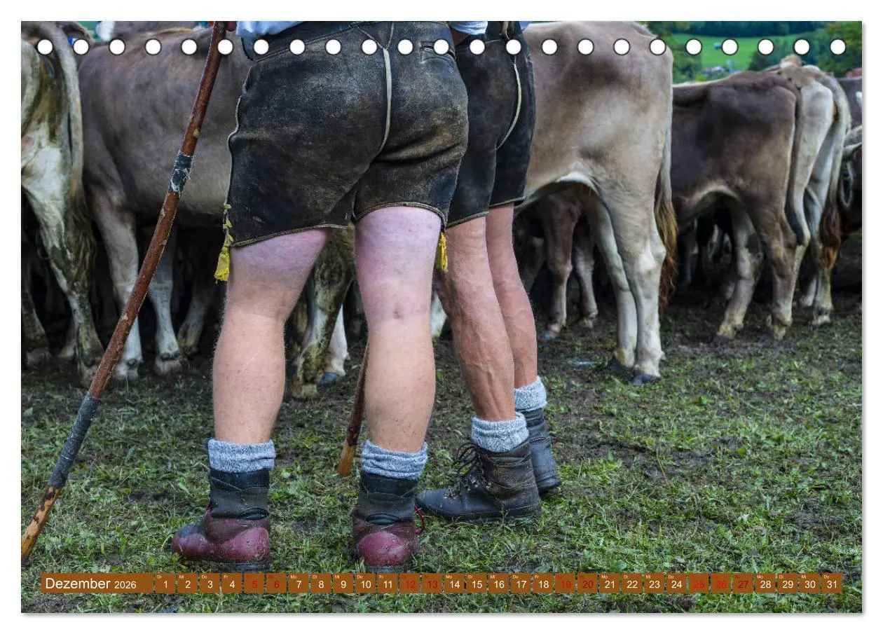 Bild: 9783457844649 | Allgäuer Schönheiten Allgäu - Land der Kühe (Tischkalender 2026 DIN...