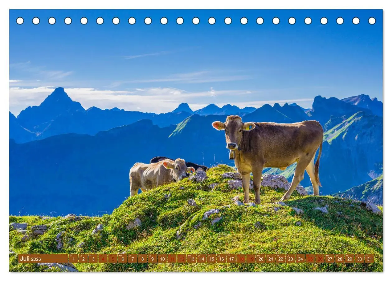 Bild: 9783457844649 | Allgäuer Schönheiten Allgäu - Land der Kühe (Tischkalender 2026 DIN...