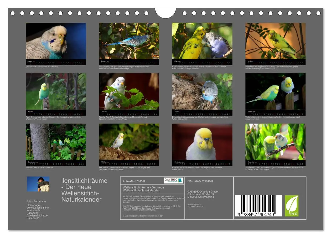 Bild: 9783457904749 | Wellensittichträume - Der neue Wellensittich-Naturkalender...