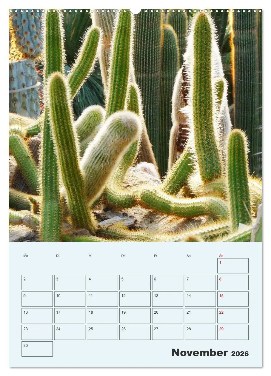 Bild: 9783516394849 | Wehrhafte Sukkulenten (hochwertiger Premium Wandkalender 2026 DIN...