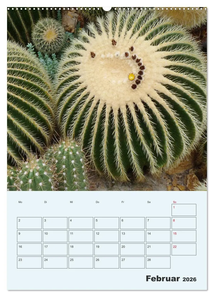 Bild: 9783516394849 | Wehrhafte Sukkulenten (hochwertiger Premium Wandkalender 2026 DIN...