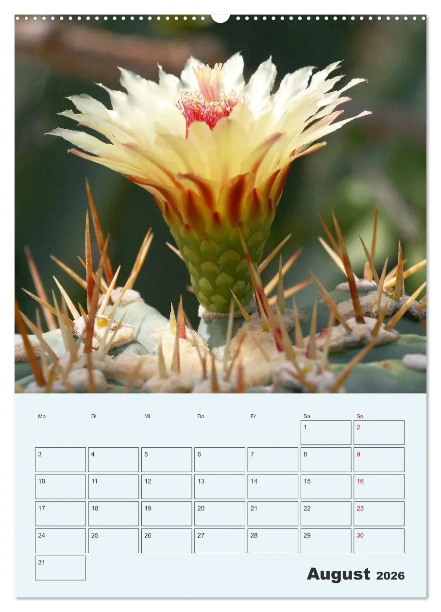 Bild: 9783516394849 | Wehrhafte Sukkulenten (hochwertiger Premium Wandkalender 2026 DIN...