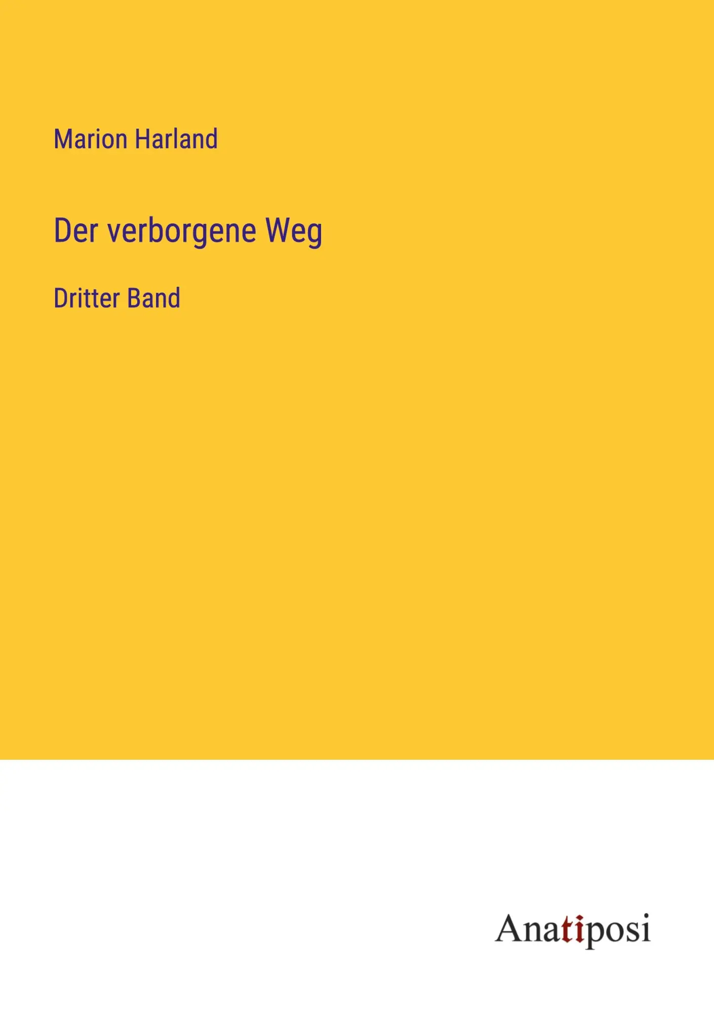 Der verborgene Weg: Dritter Band