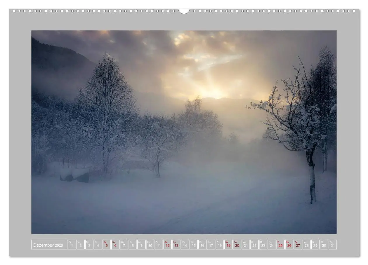 Bild: 9783457744949 | Wald im Licht (Wandkalender 2026 DIN A2 quer), CALVENDO Monatskalender