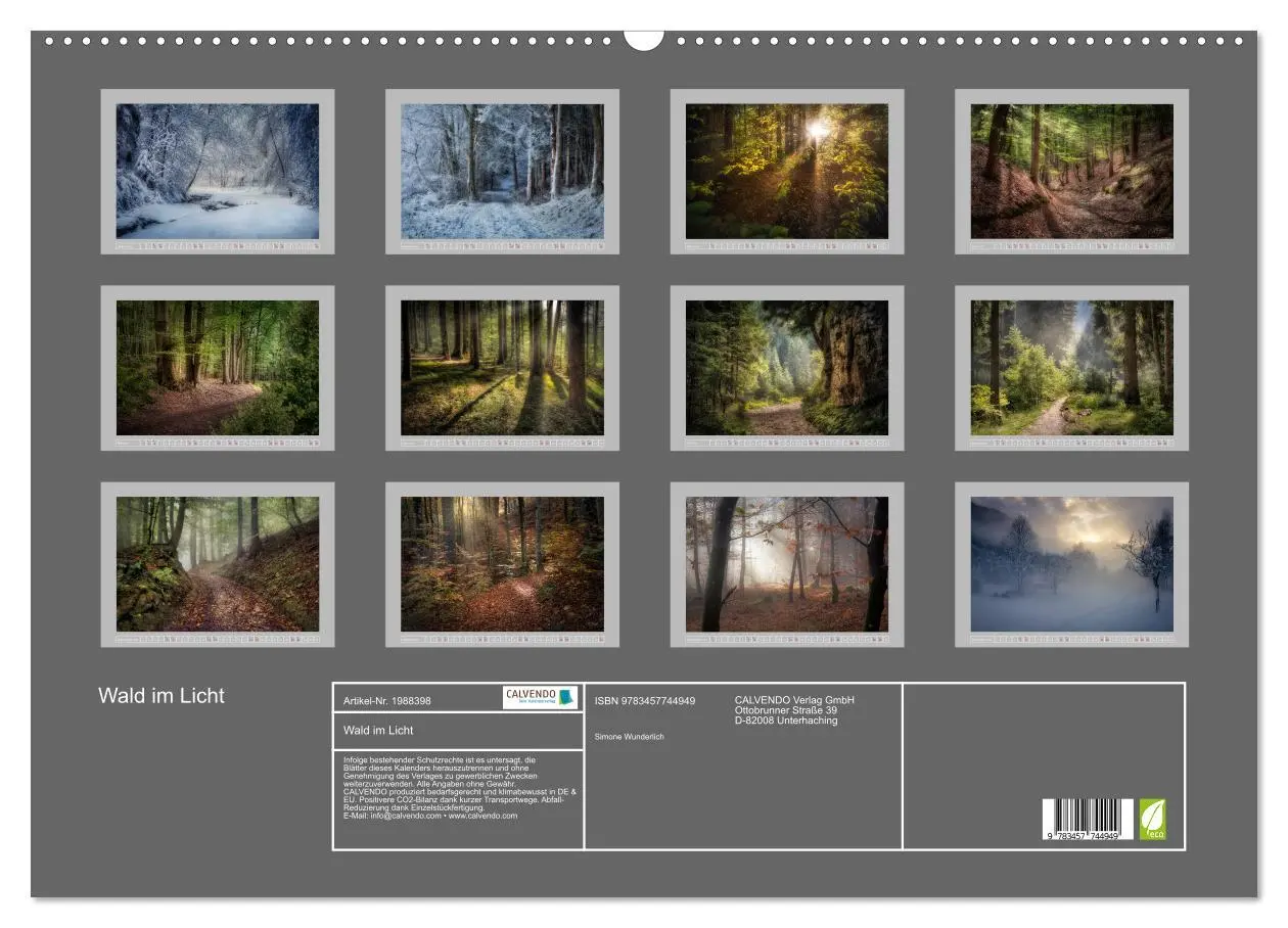 Bild: 9783457744949 | Wald im Licht (Wandkalender 2026 DIN A2 quer), CALVENDO Monatskalender