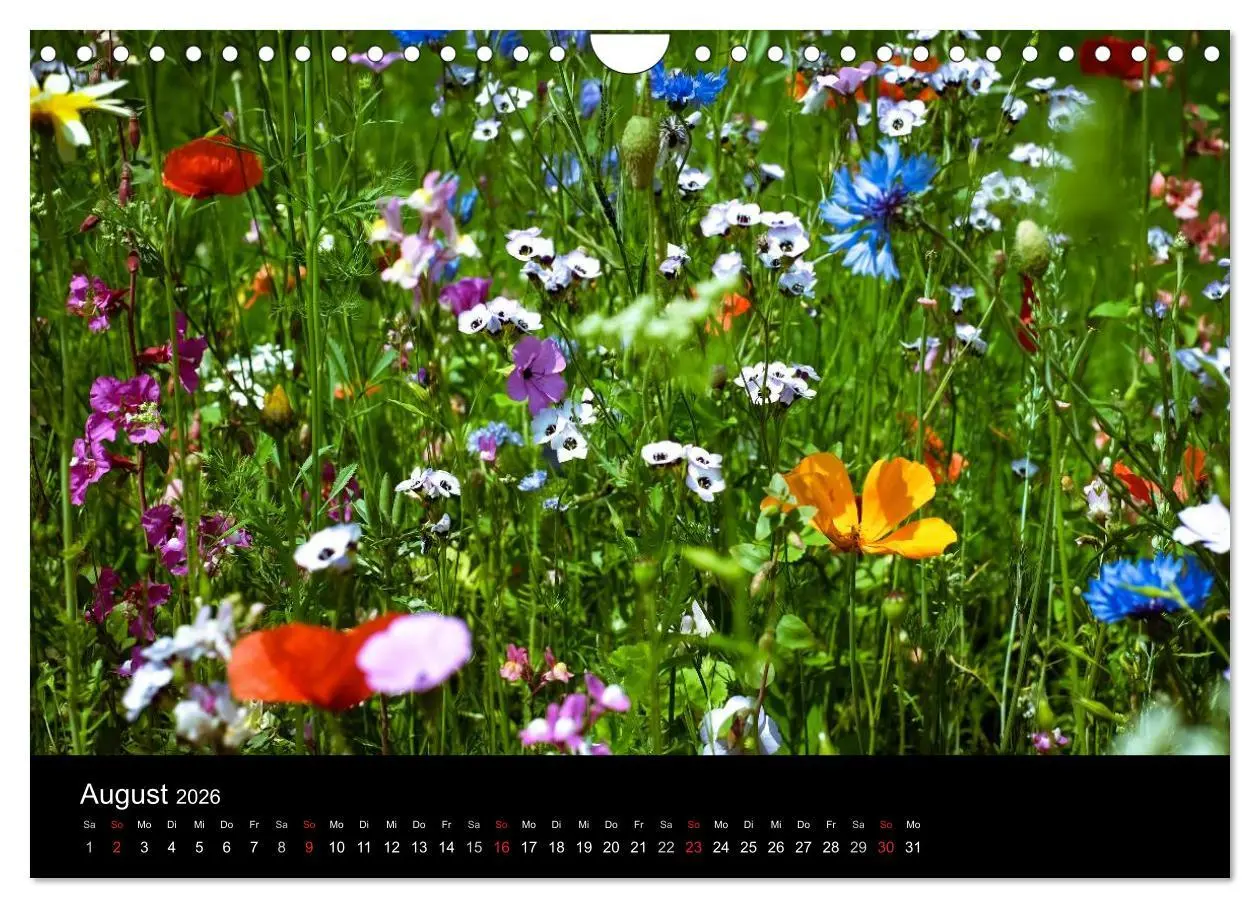 Bild: 9783516214949 | Winterberg - Sauerland - Eine Landschaft in Bildern (Wandkalender...