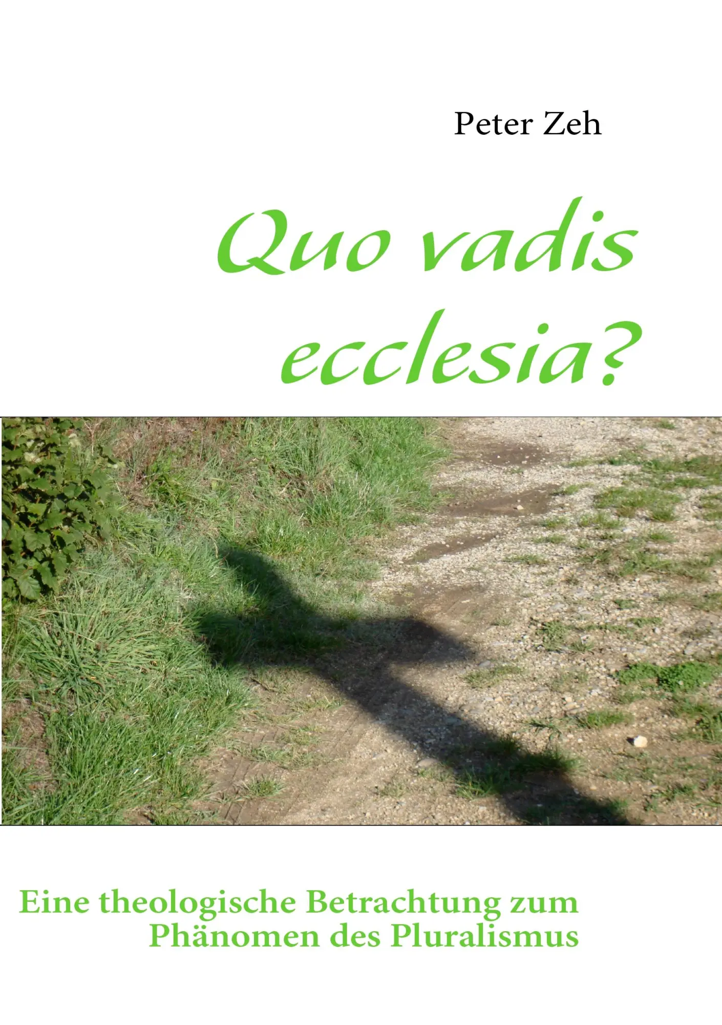 Quo vadis ecclesia?: Eine theologische Betrachtung zum Phänomen des Pluralismus