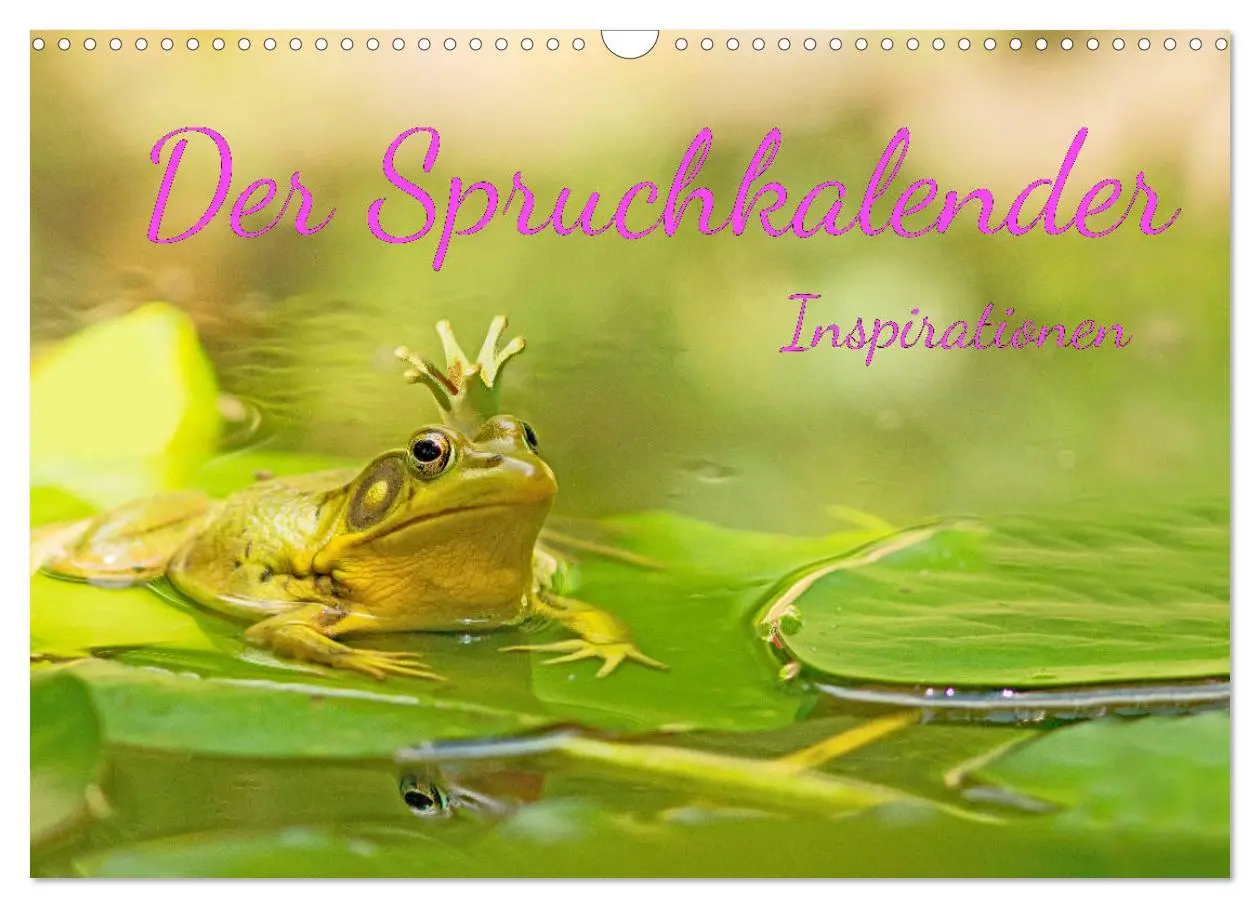 Cover: 9783457705049 | Der Spruchkalender - Inspirationen (Wandkalender 2026 DIN A3 quer),...