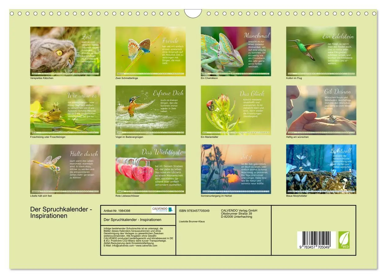 Bild: 9783457705049 | Der Spruchkalender - Inspirationen (Wandkalender 2026 DIN A3 quer),...