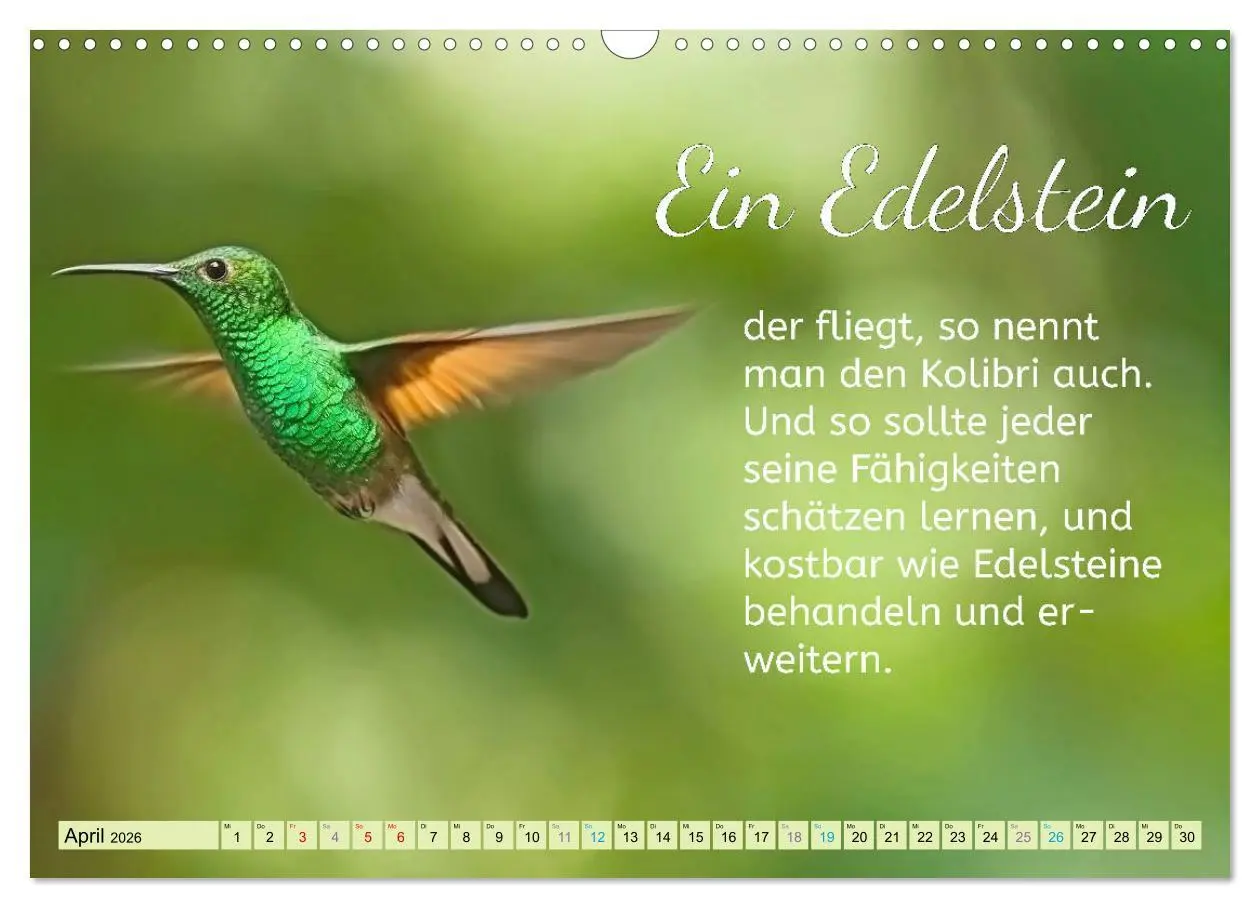 Bild: 9783457705049 | Der Spruchkalender - Inspirationen (Wandkalender 2026 DIN A3 quer),...