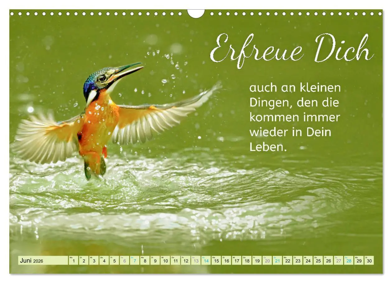Bild: 9783457705049 | Der Spruchkalender - Inspirationen (Wandkalender 2026 DIN A3 quer),...