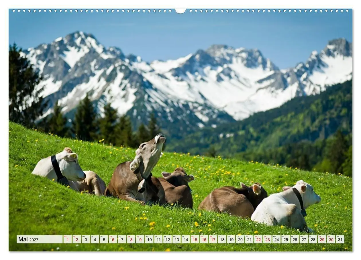 Bild: 9783594255049 | Traumhaftes Allgäu (hochwertiger Premium Wandkalender 2027 DIN A2...