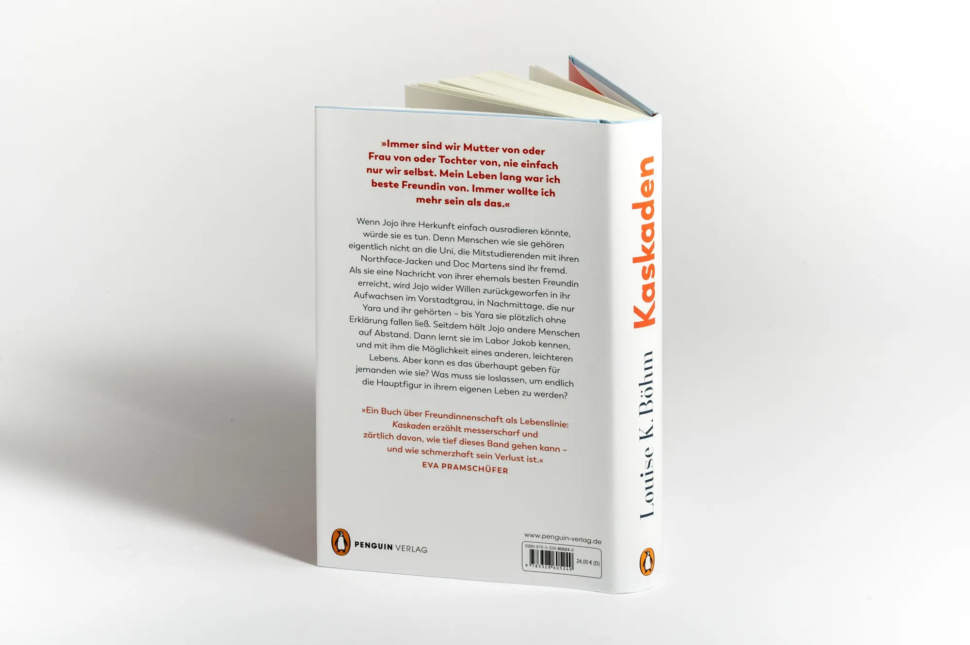 Bild: 9783328605249 | Kaskaden | Louise K. Böhm | Buch | 288 S. | Deutsch | 2026