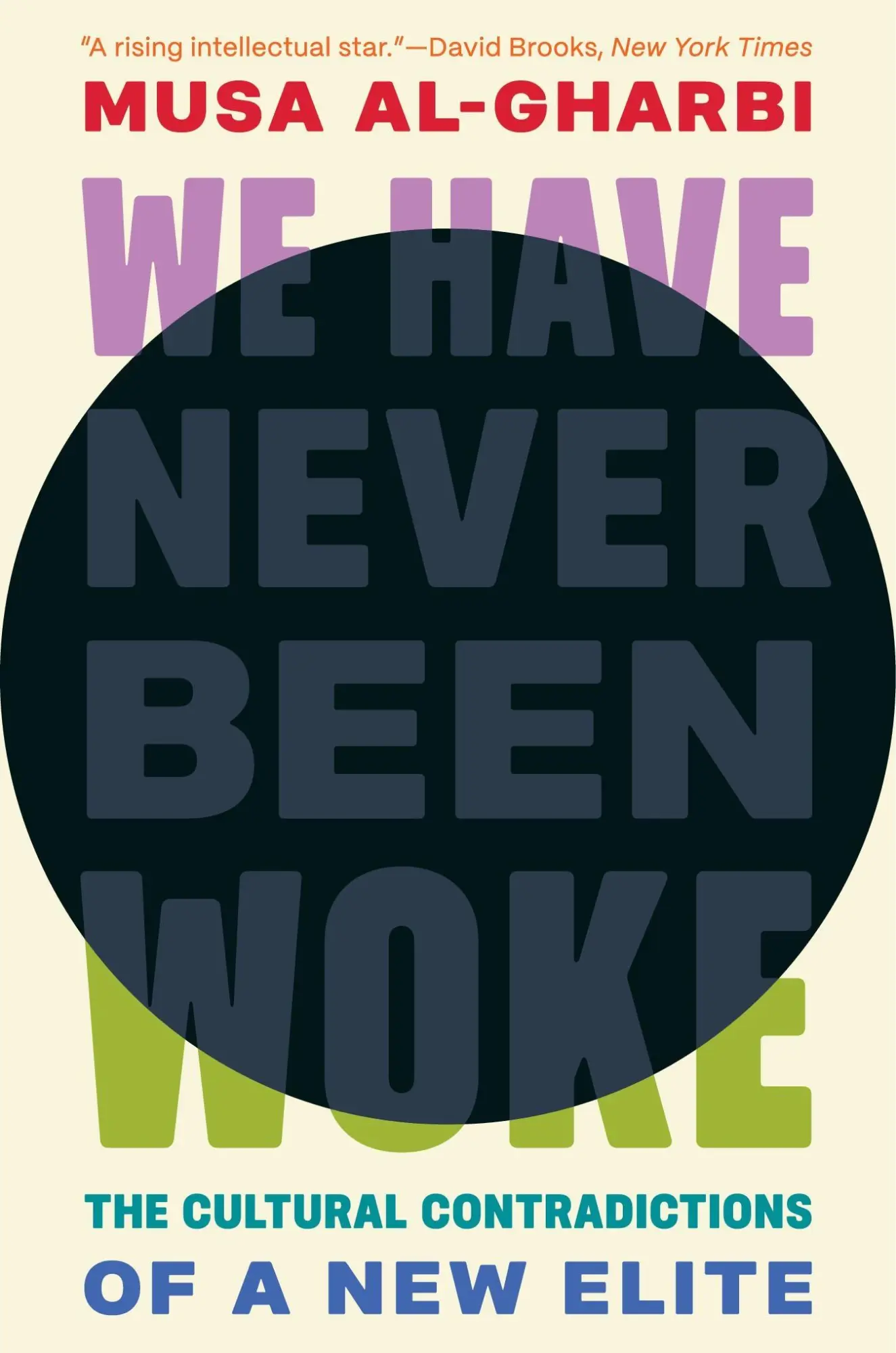 Cover: 9780691235349 | We Have Never Been Woke | The Cultural Contradictions of a New Elite