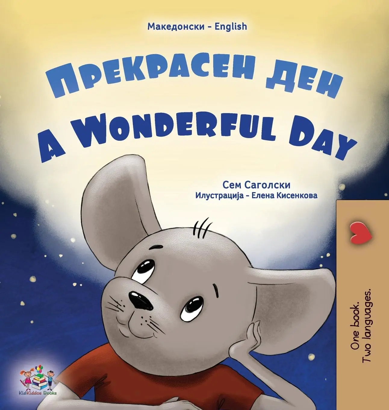 Cover: 9781525975349 | A Wonderful Day (Macedonian English Bilingual Book for Kids) | Buch