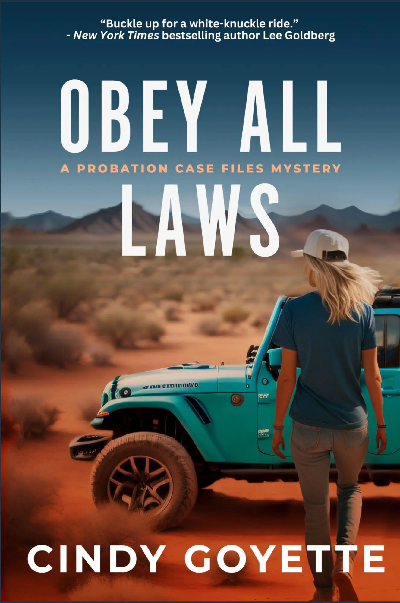 Cover: 9781685125349 | Obey All Laws | A Probation Case Files Mystery | Cindy Goyette | Buch