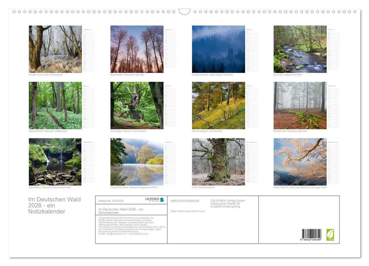 Bild: 9783516005349 | Im Deutschen Wald 2026 - ein Notizkalender (Wandkalender 2026 DIN...