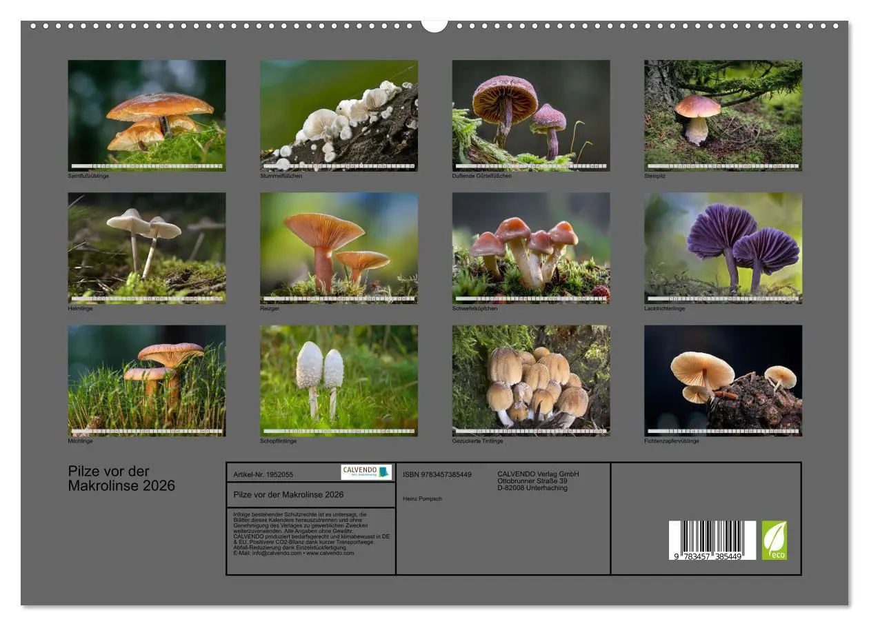 Bild: 9783457385449 | Pilze vor der Makrolinse 2026 (hochwertiger Premium Wandkalender...