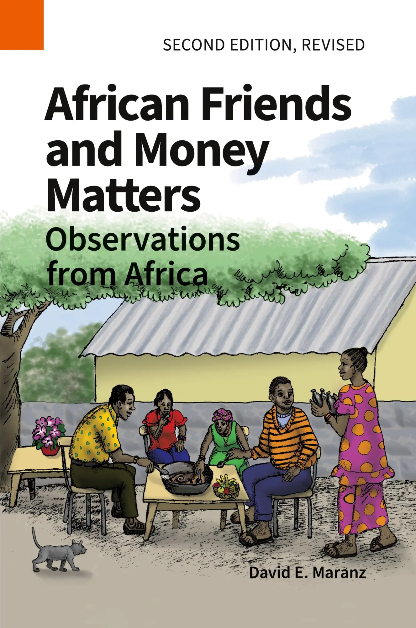 Cover: 9781556715549 | African Friends and Money Matters | David E Maranz | Taschenbuch