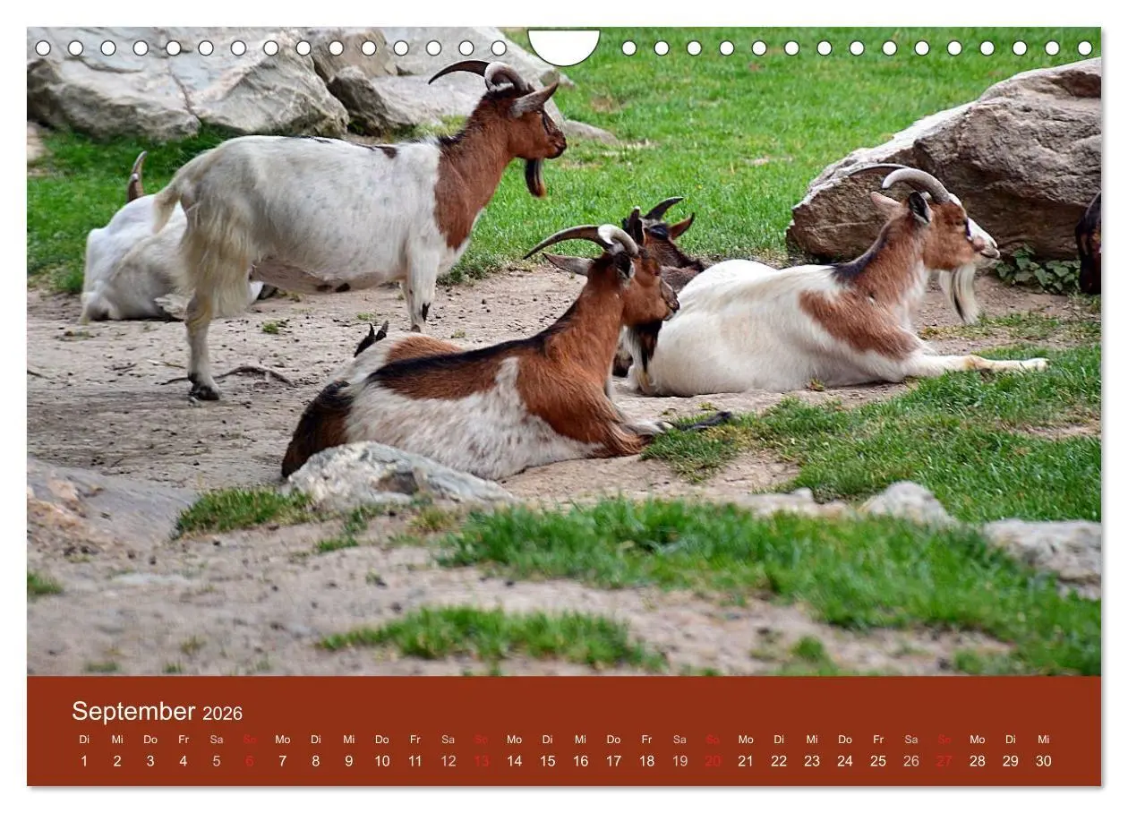 Bild: 9783457995549 | Königstein im Taunus und Umgebung (Wandkalender 2026 DIN A4 quer),...