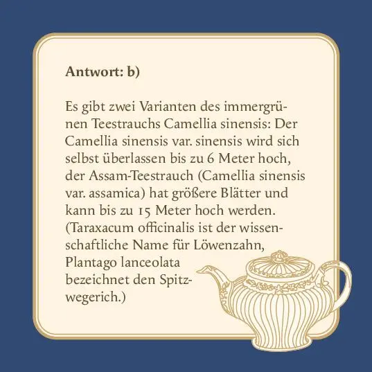Bild: 9783747205549 | Das Tee-Quiz | Box mit 66 Spielkarten und Anleitung | Sigrun Arenz