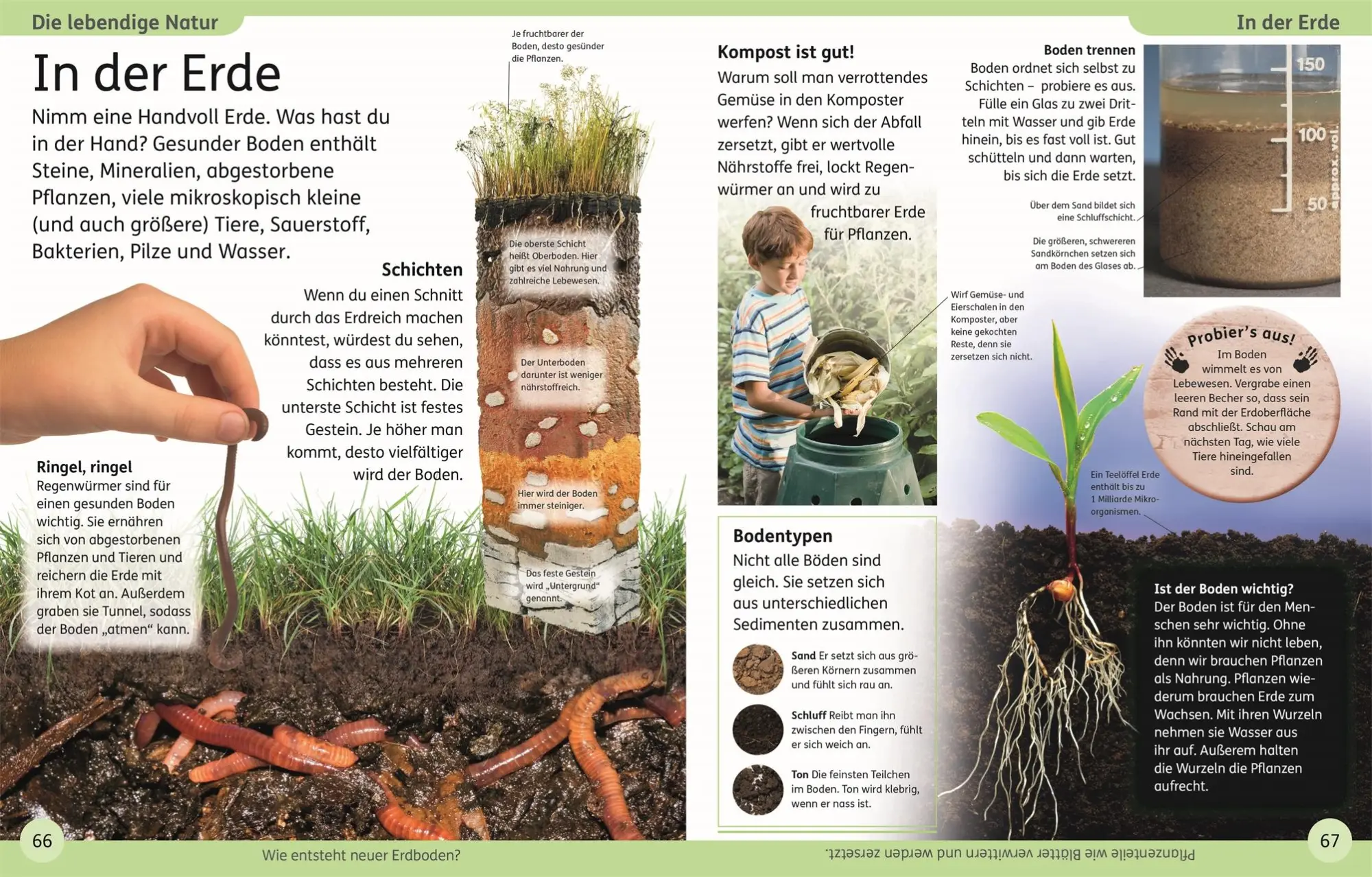 Bild: 9783831045549 | DK Kinderlexikon. Die Erde | DK Verlag - Kids | Buch | 136 S. | 2022