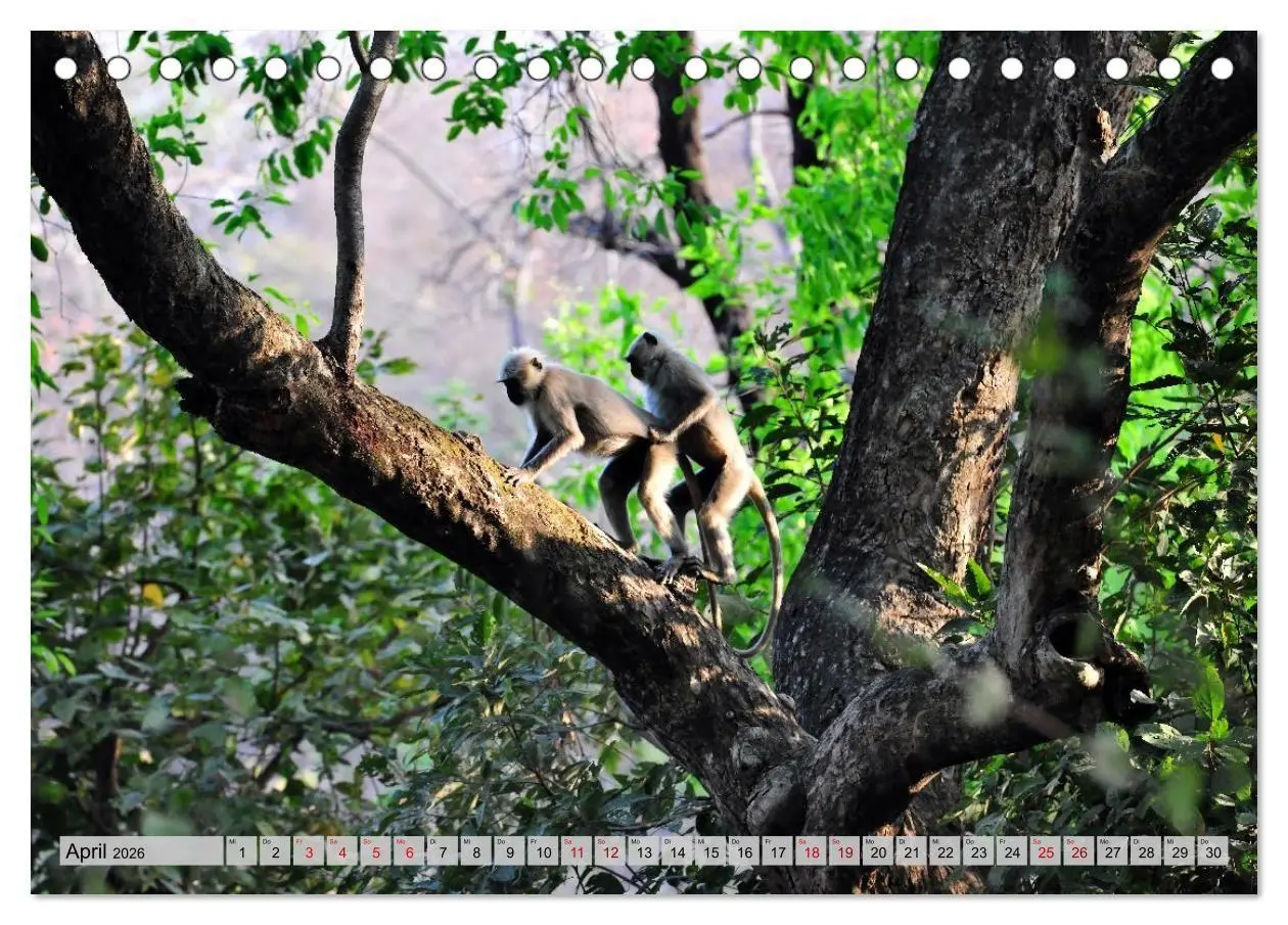 Bild: 9783516695649 | Uttarakhand - Land der Götter (Tischkalender 2026 DIN A5 quer),...