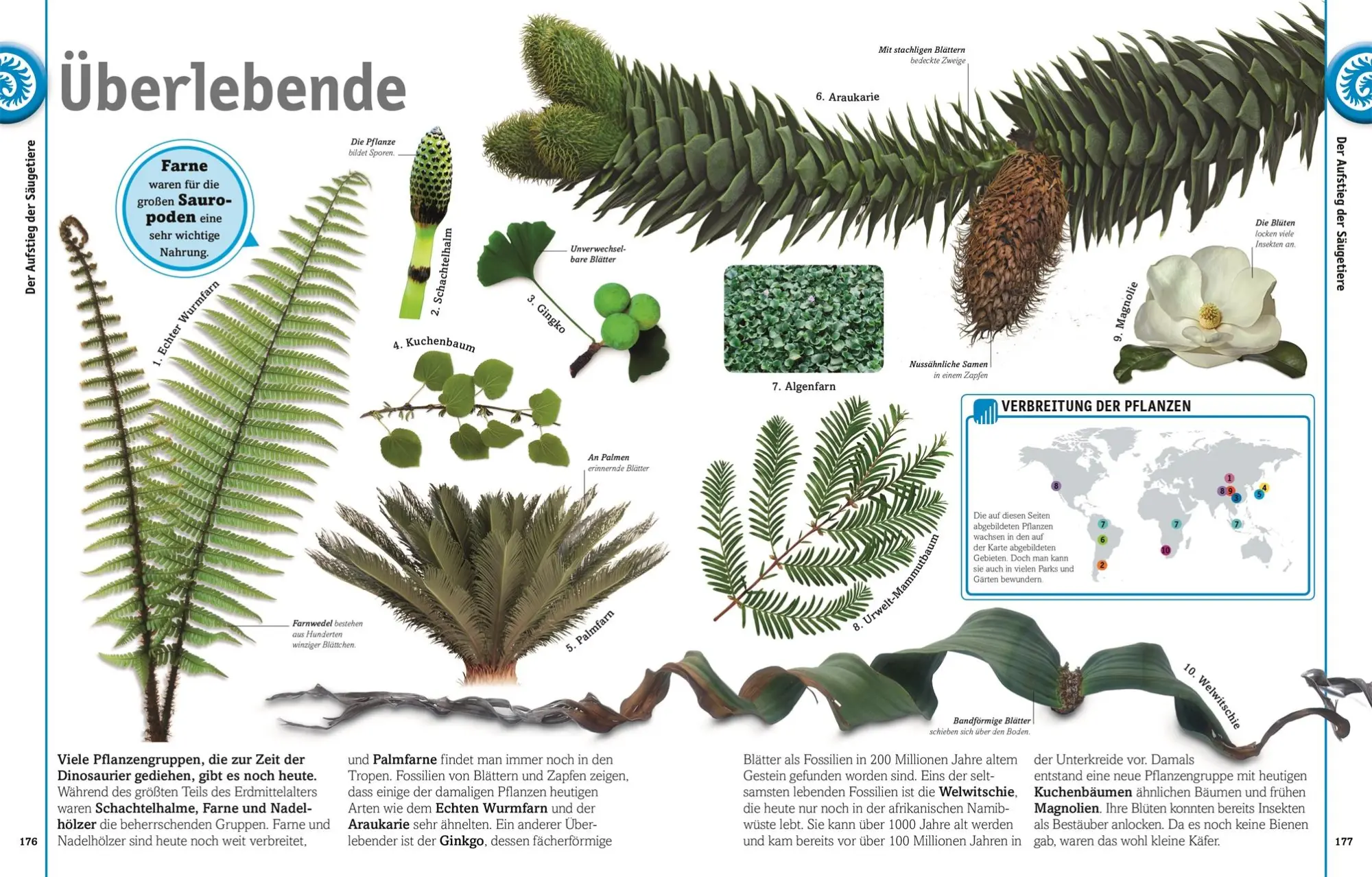 Bild: 9783831035649 | Dinosaurier | Lebewesen und Fossilien der Urzeit in über 1000 Bildern