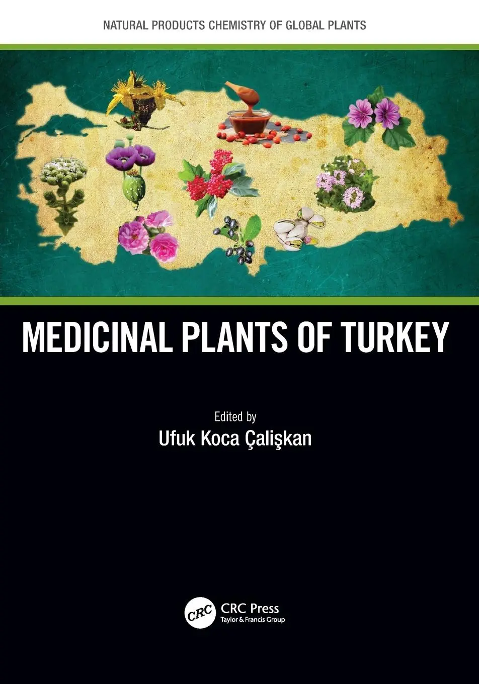 Cover: 9780367705749 | Medicinal Plants of Turkey | Ufuk Koca Caliskan | Taschenbuch | 2024