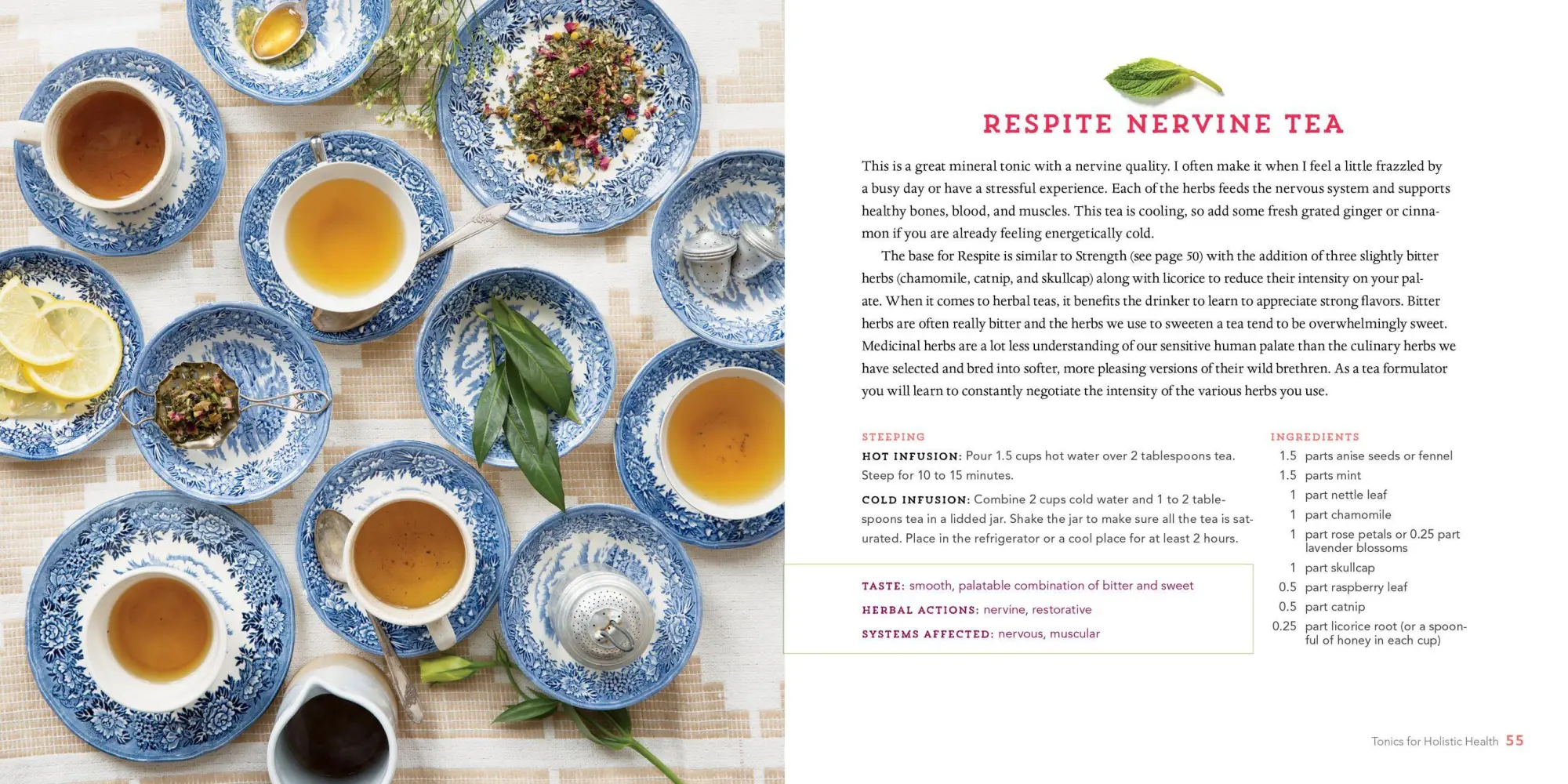 Bild: 9781612125749 | Healing Herbal Teas | Sarah Farr | Taschenbuch | Englisch | 2016