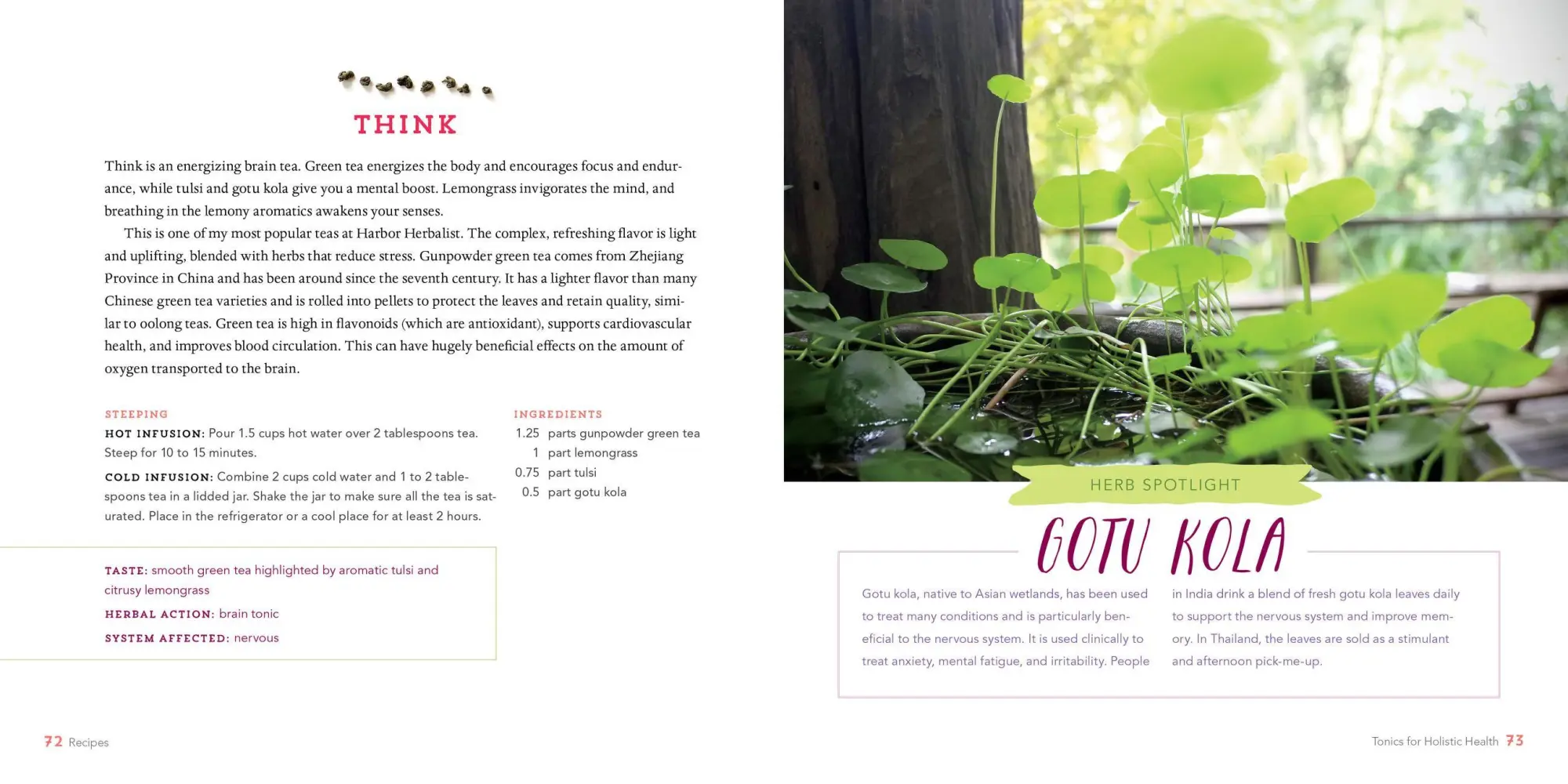 Bild: 9781612125749 | Healing Herbal Teas | Sarah Farr | Taschenbuch | Englisch | 2016