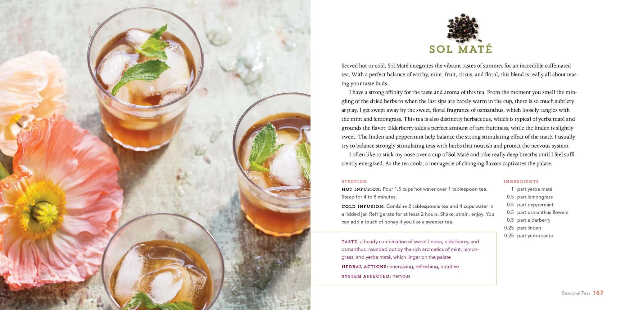 Bild: 9781612125749 | Healing Herbal Teas | Sarah Farr | Taschenbuch | Englisch | 2016