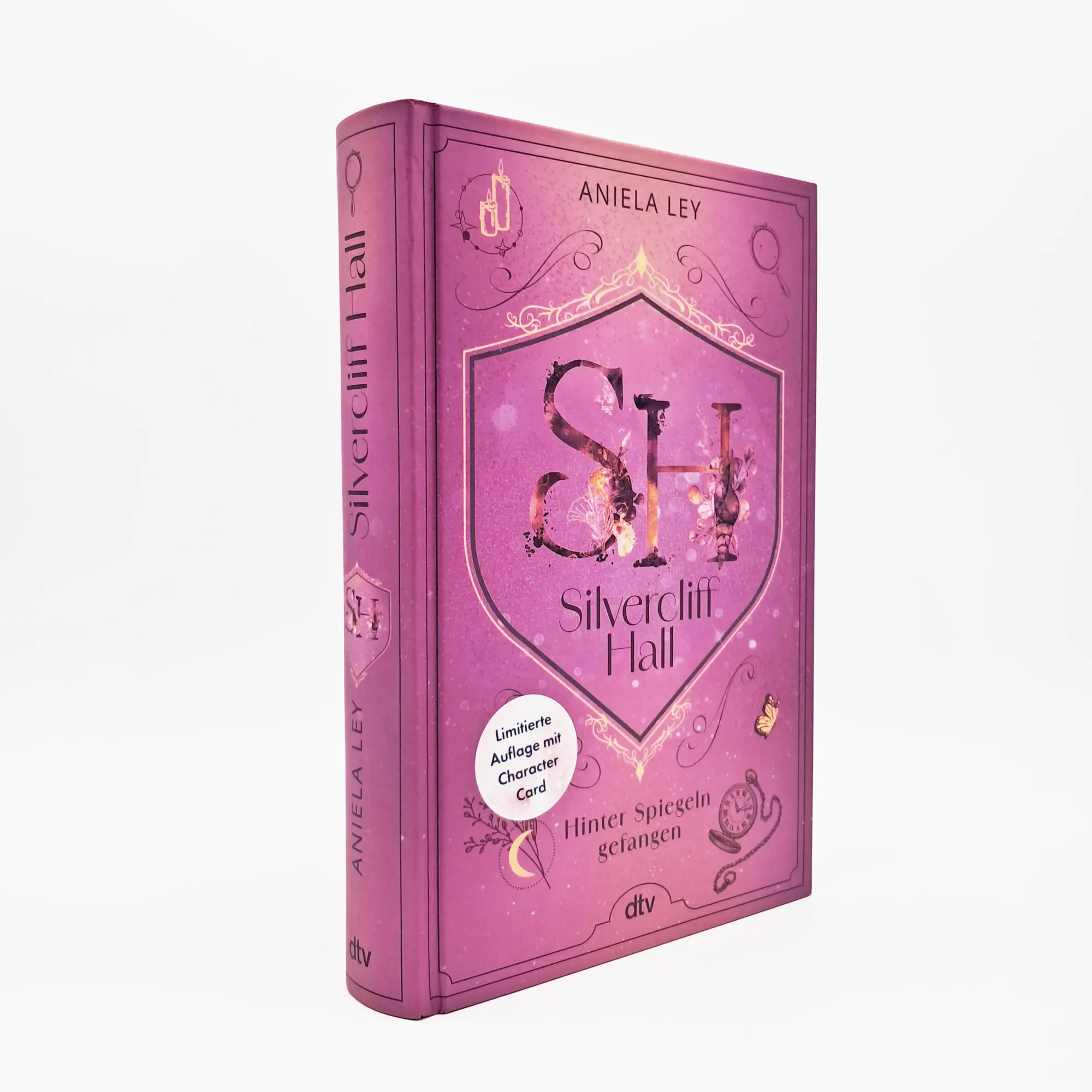 Bild: 9783423765749 | Silvercliff Hall - Hinter Spiegeln gefangen | Aniela Ley | Buch | 2025