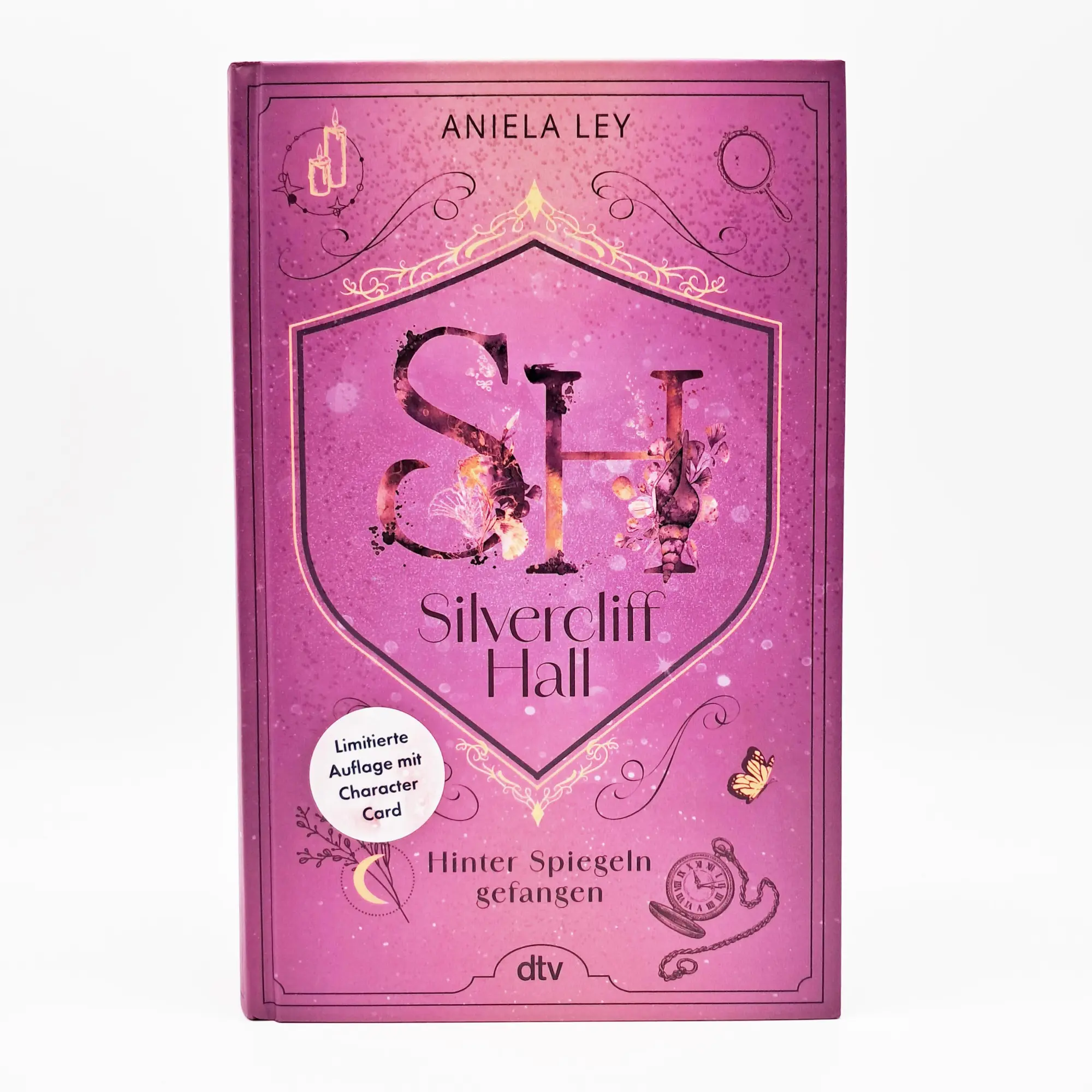 Bild: 9783423765749 | Silvercliff Hall - Hinter Spiegeln gefangen | Aniela Ley | Buch | 2025