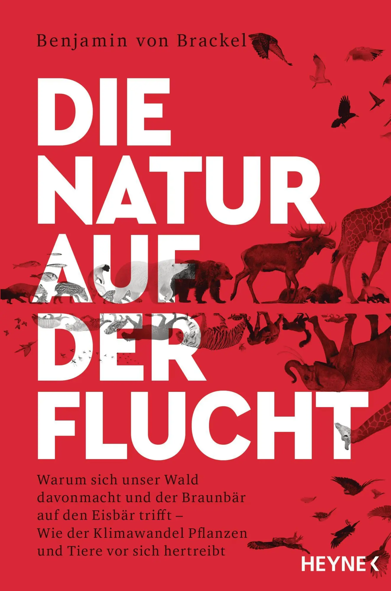 Cover: 9783453605749 | Die Natur auf der Flucht | Benjamin von Brackel | Taschenbuch | 288 S.