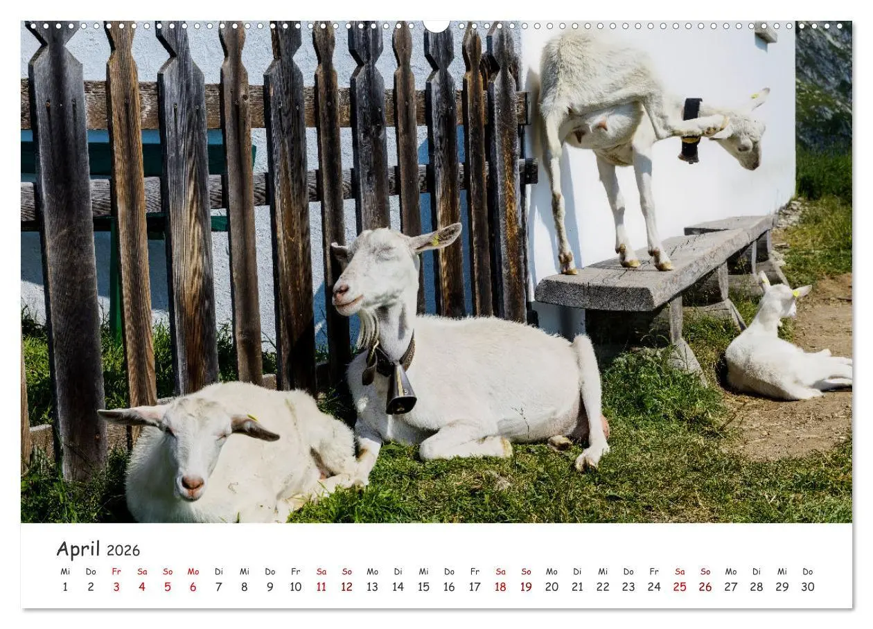 Bild: 9783457665749 | Der Kanton Wallis - einfach liebenswert (Wandkalender 2026 DIN A2...
