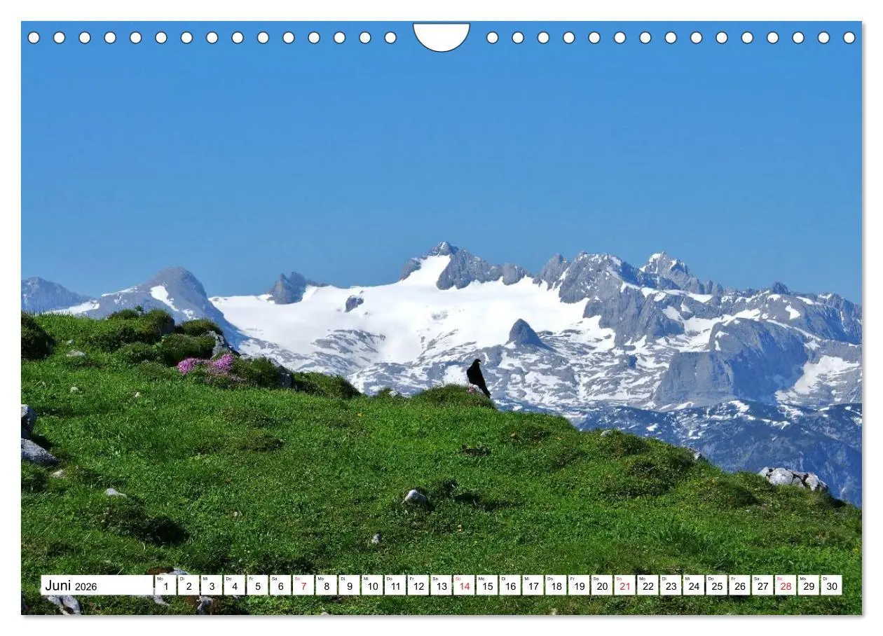 Bild: 9783457975749 | Die Alpen im Herzen von Österreich (Wandkalender 2026 DIN A4 quer),...